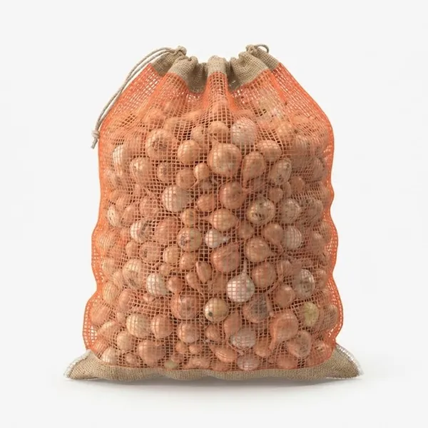 ONION PICKLING POC