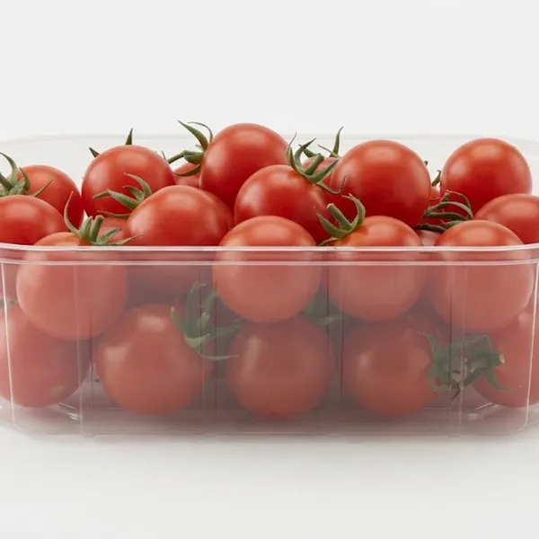 TOMATO COCKTAIL  SANTE