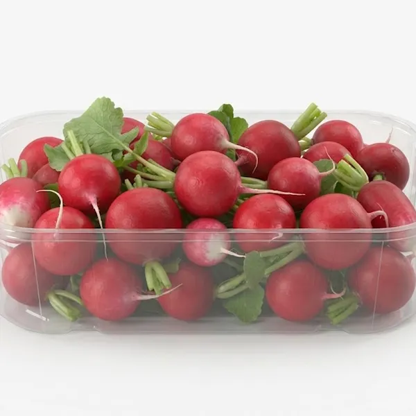 RADISH