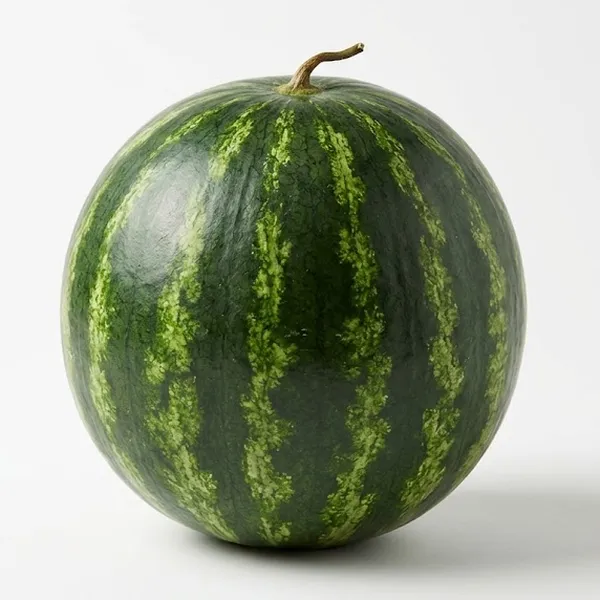 WATERMELON SMALL