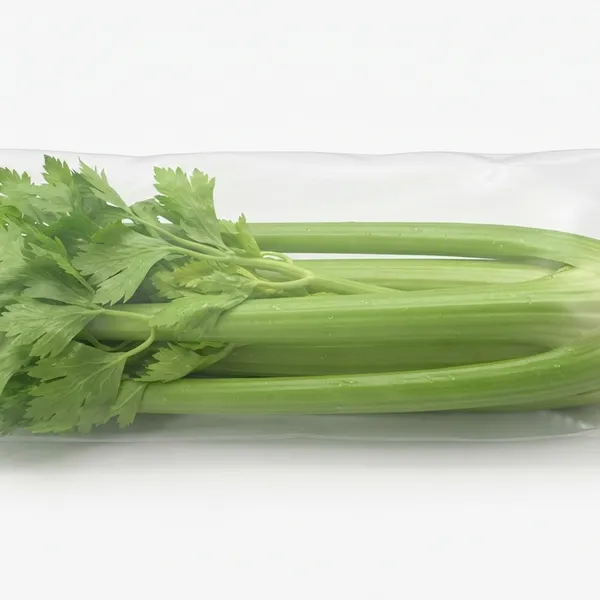 CELERY