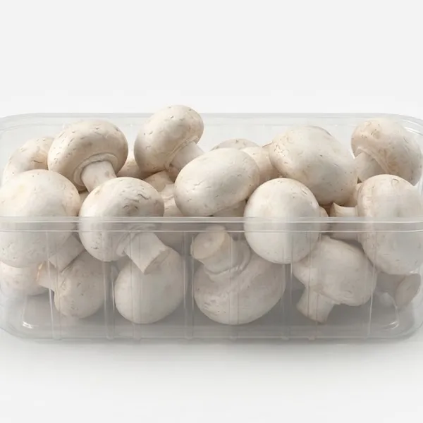 MUSHROOM WHITE
