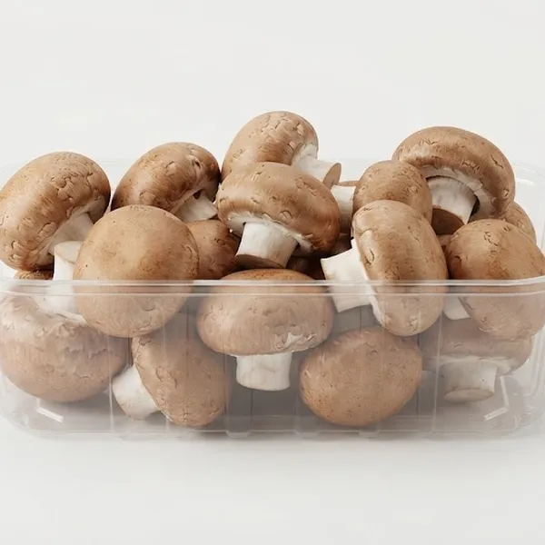 MUSHROOM BROWN