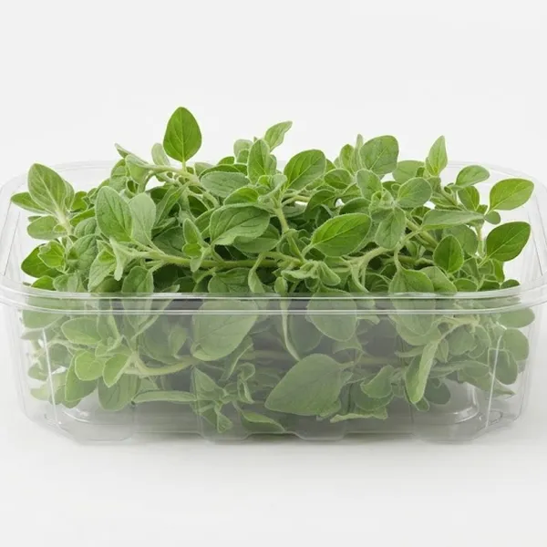 PARSLEY