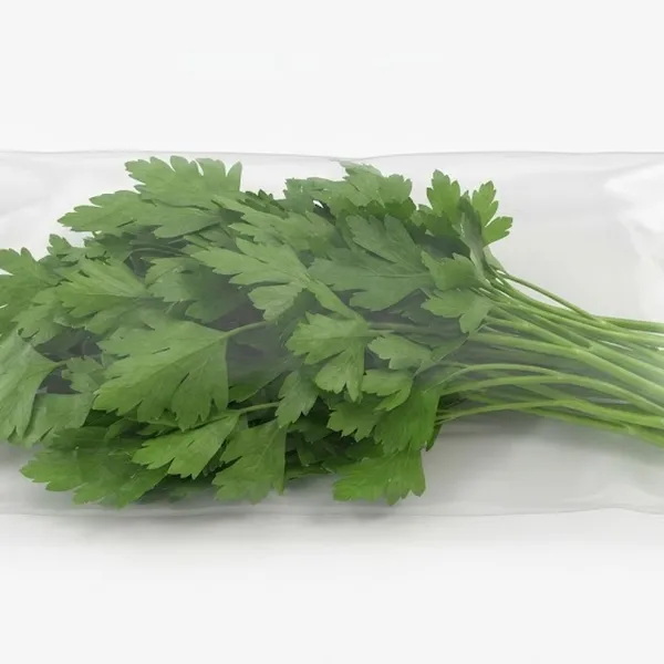 ITALIAN PARSLEY
