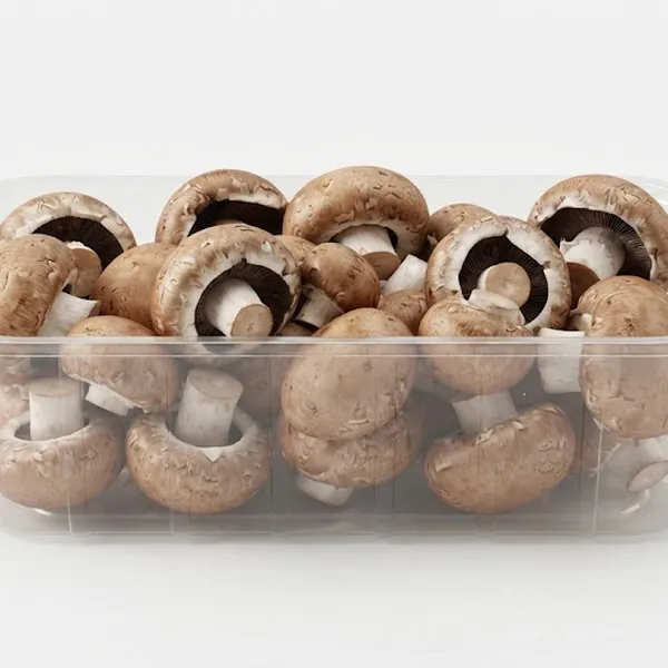 MUSHROOM PORTABELLINI