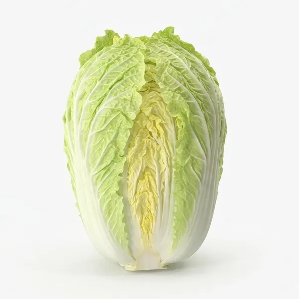 CABBAGE CHINESE