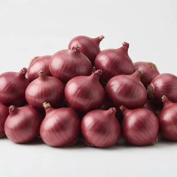 ONION RED LOOSE