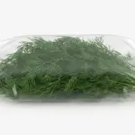 DILL