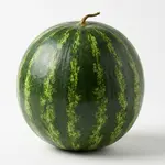 WATERMELON SMALL