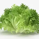 LETTUCE GREEN FRILLY
