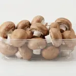 MUSHROOM BROWN
