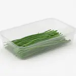 CHIVES