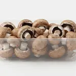 MUSHROOM PORTABELLINI