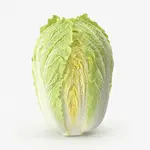 CABBAGE CHINESE